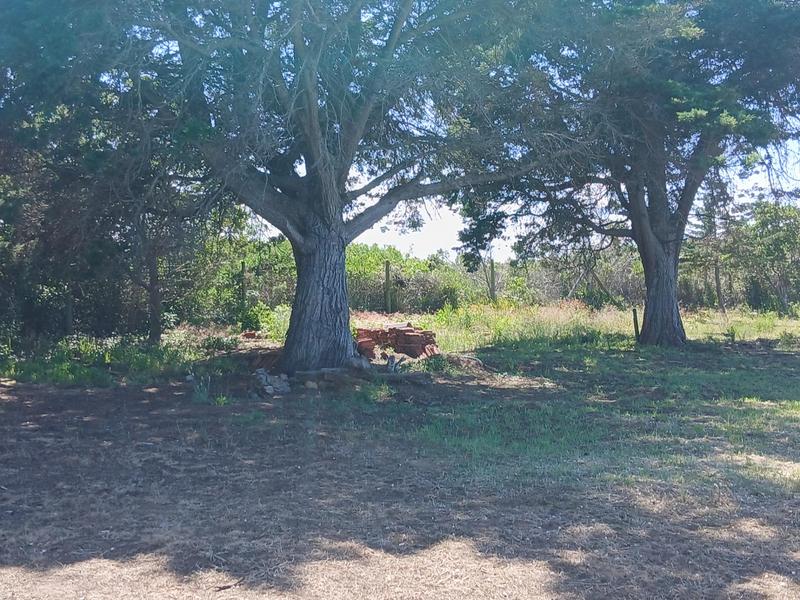 0 Bedroom Property for Sale in Tergniet Western Cape